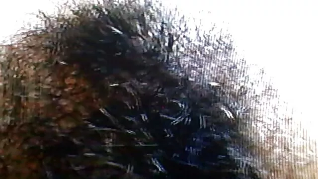 Sarah առաքելությունն է խուսափել բռնել, դատապարտված է ձախողման. ասիական լեզդոմ
